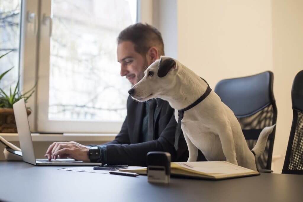 Why you should try an email automation tool